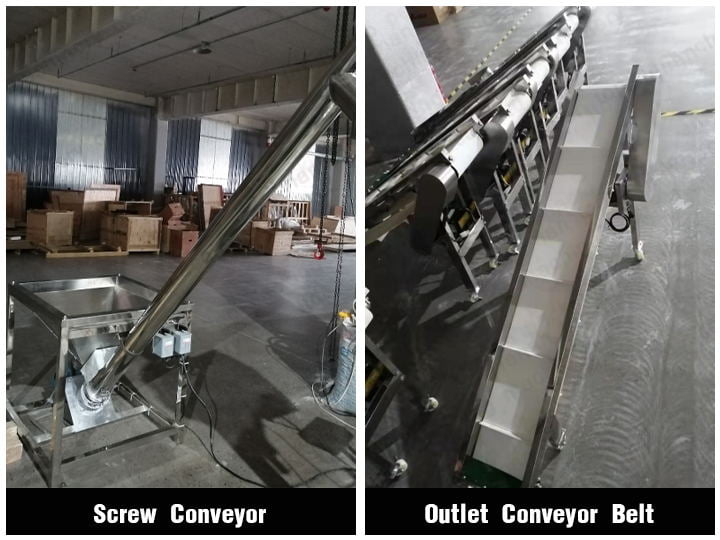 Screw elevator and outlet conveyor belt